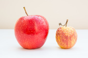 Fresh apple and withered apple, young and old, youth and old age