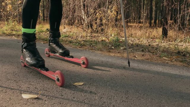 Training an athlete on the roller skaters. Biathlon ride on the roller skis with ski poles, in the helmet. Autumn workout. Roller sport. Adult man riding on skates. The athlete is preparing for the