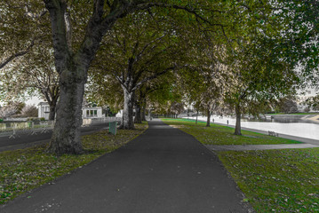 Fototapeta na wymiar Trees lined up alongside footpath on the side of Victoria Embankment in Nottingham