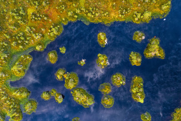 Bird's eye photo of a swamp