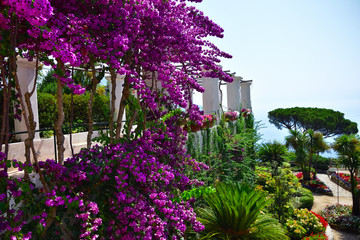Villa Rufolo ogród