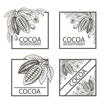 collection of frames with cocoa beans, branch and leaves