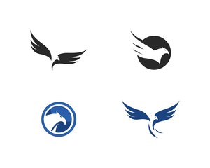 Fototapeta na wymiar Falcon Eagle Bird Logo Template