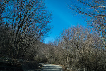 Mountain winter road in Lovcen National Park