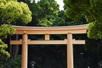 Temple Gate Japan