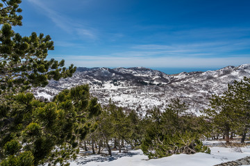 Winter landscape in Lovcen National Park