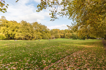 A typical view in London