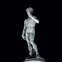 Bronze copy of the David of Michelangelo at night with black background, Florence Italy