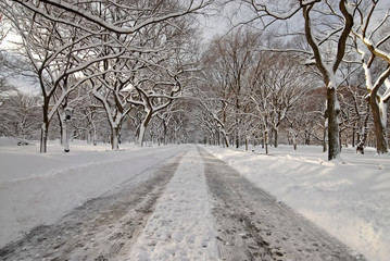 Central Park Manhattan, New York in the snow