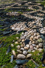Full frame background of pebble pavement