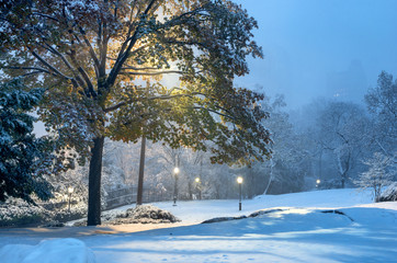 Winter landscape in Central Park. New York City. USA