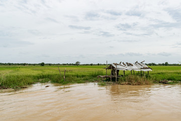 Fototapeta premium Battambang River