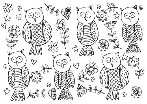 Owl pattern background.