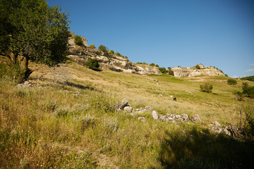 Fototapeta na wymiar Summer landscape on the peninsula of Crimea. Rocky terrain