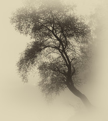 abstract landscape background