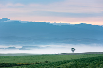 北海道美瑛の風景