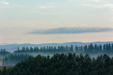 北海道美瑛の風景