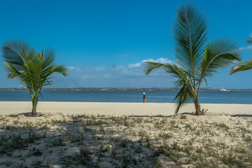 Fototapeta na wymiar View of palm trees on beach, and boats on water, on the island of Mussulo, Luanda, Angola