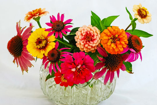Zenia and Echinacea Arrangement