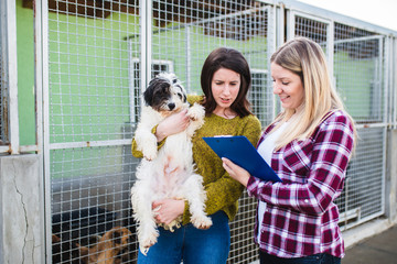 Young woman with worker choosing which dog to adopt from a shelter.