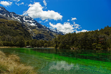 Blue lake, Nelson Lakes National Park, New Zealand