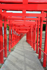 Fototapeta na wymiar 元乃隅稲成神社の赤い鳥居のトンネル　山口県長門市