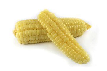ripe corn isolated / boiled corn cook slice isolated on white background - white corn for asia food