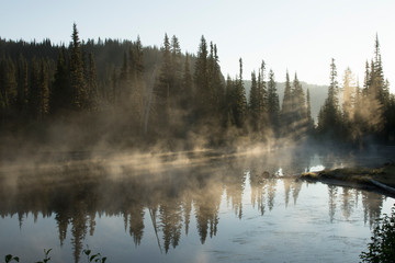 Mt. Rainier National Park area