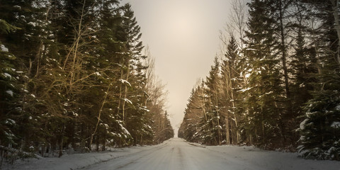 The Road Less Travelled