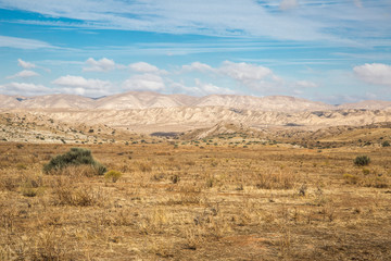 Fototapeta na wymiar Life on the Carrizo Plains in Kern County, CA was harsh and hard. When people gave up and moved away, they left behind not only the grasslands, but anything that they could not transport