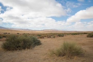 The Carrizo Plain is the largest enclosed grassland plain in Kern County, California and has been designated a national monument