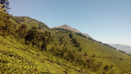 kerala