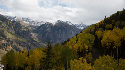 Telluride, Colorado in the fall.  Golden in color and beautiful mountain views