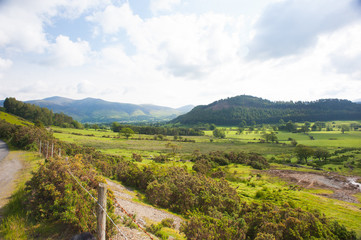 View into the dell at lake district, england 