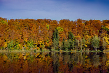 Autumn forest with a lake, reflected in the water