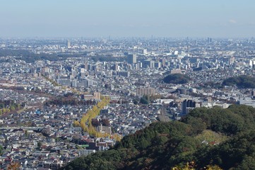 山から街を見下ろす