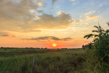 sunset rice focus on sun landscape