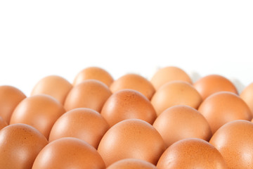 Egg chicken in tray on white background.