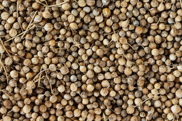 Coriander seed on bamboo weave.