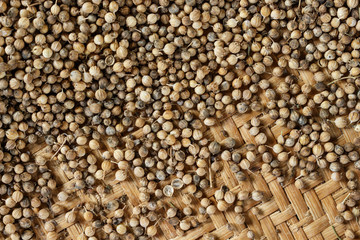 Coriander seed on bamboo weave.