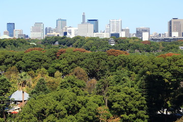緑の森と東京の街並み