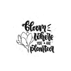 Vector hand drawn illustration. Lettering phrases Bloom where you are planted. Idea for poster, postcard.