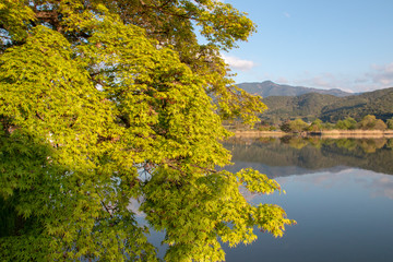 京都ぶらり、春の日の広沢の池