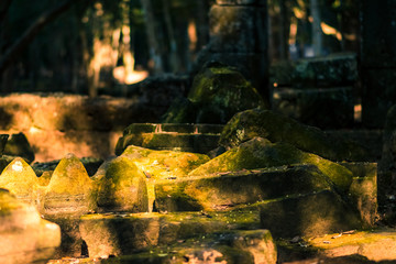 green moss in the stones in angkor wat ruins