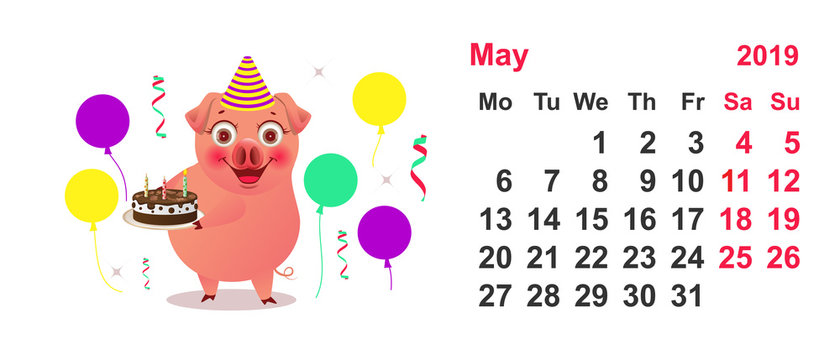 Calendar May 2019 funny pig holds birthday cake