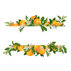 Template frame decprative vector element with citrus flowers and fruits