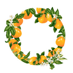 Template decorative vector element with citrus fruits in circle
