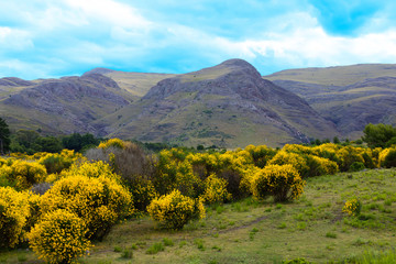 landscape with mountains