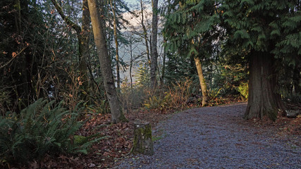TransCanada Trail Near Simon Fraser University