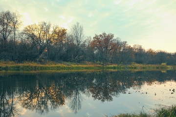 Fototapeta na wymiar River or lake in early autumn in the forest